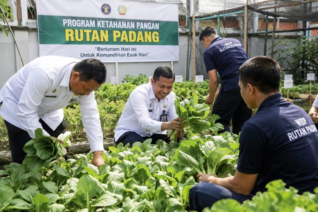 Panen Sayur Program Ketahanan Pangan Rutan Padang